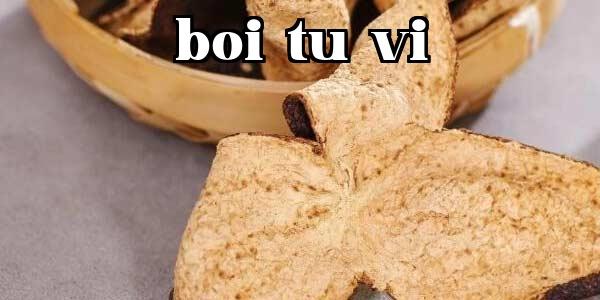 Hoa Diệp Niu, vỏ cam Tân Hội nói cho bạn biết vì sao trà vỏ cam lại đắng?