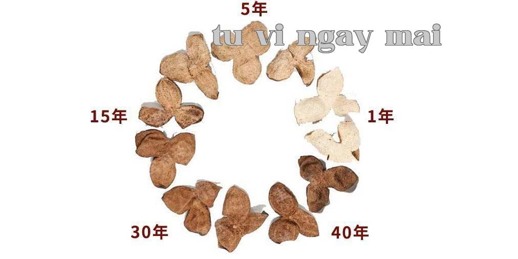 Hoa Diệp Niu chia sẻ sự khác biệt giữa các năm của vỏ cam