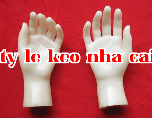 Việc sở hữu tay mẫu có những lợi ích gì, bạn biết bao nhiêu